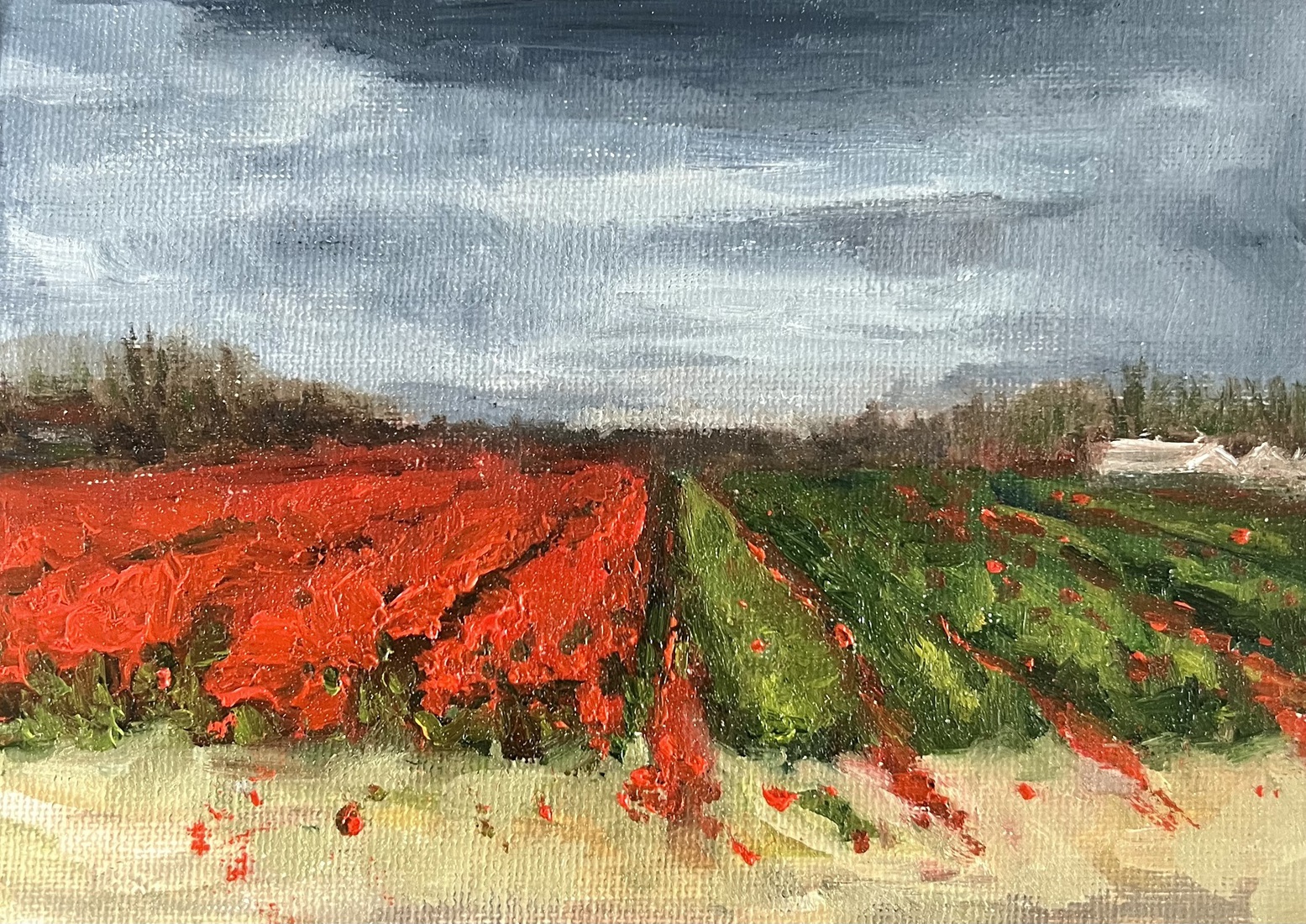 Rood vs groen
