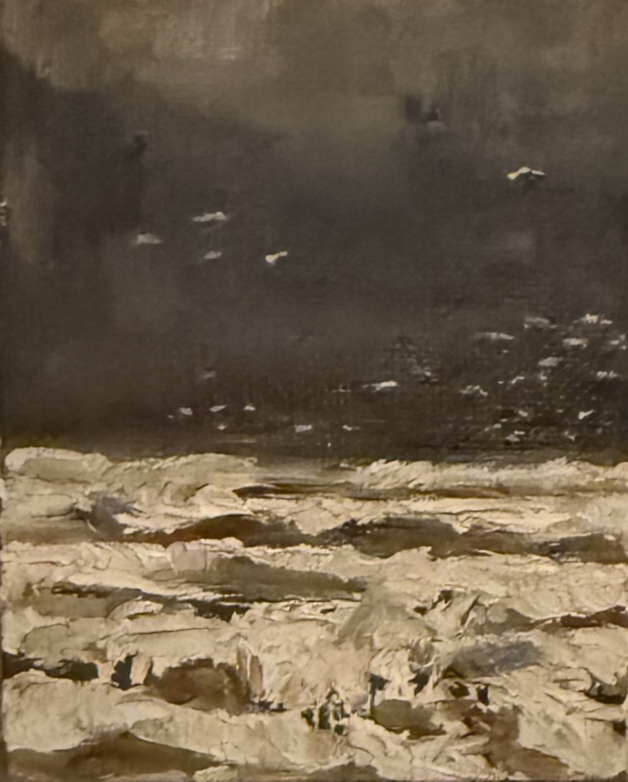 luminous seagulls