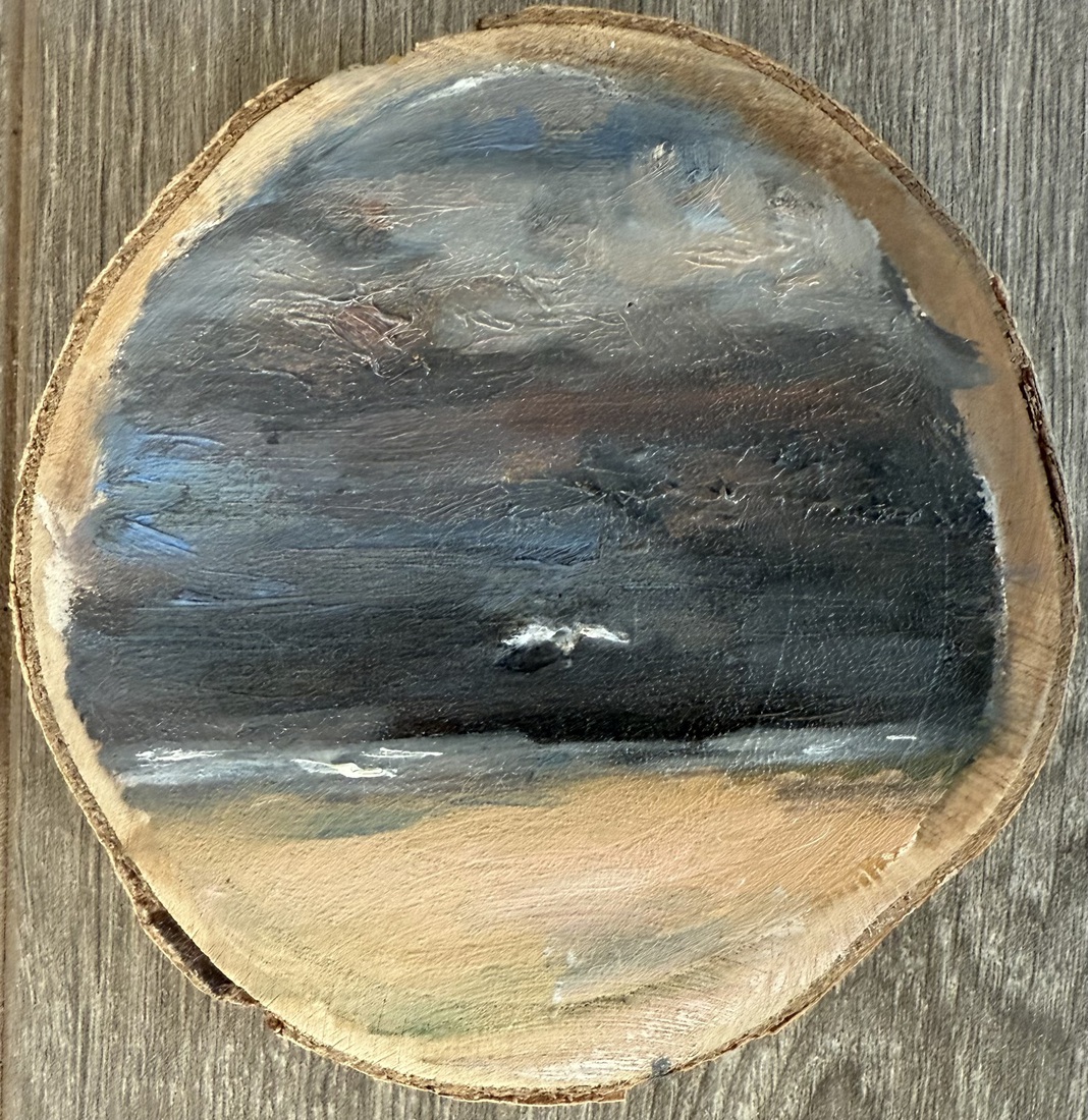 The last Seagull before Storm