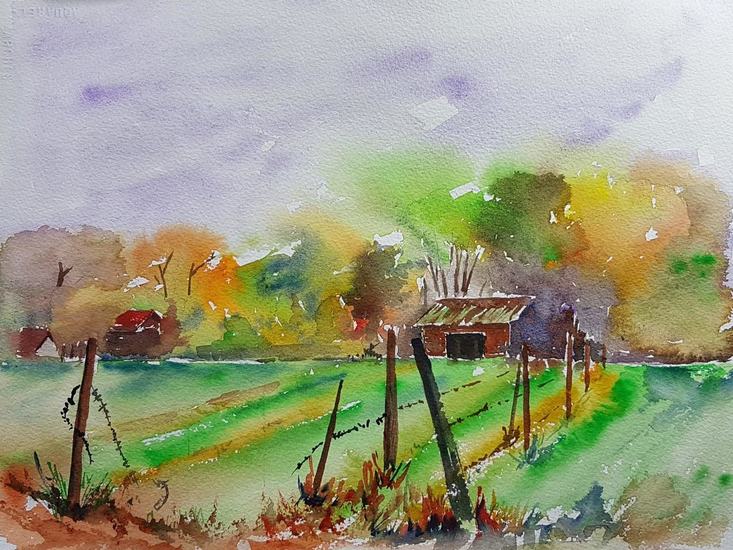 Groene hart