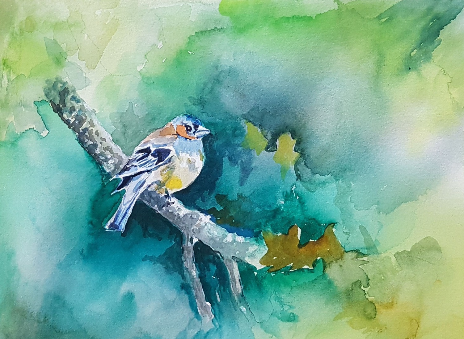 Vink