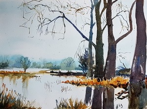 In deze groep vind je landschappen. Wil je op de hoogte worden gehouden van nieuw werk, schrijf je dan in voor mijn nieuwsbrief