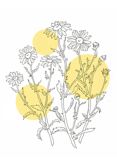 There is nothing you can see that is not a flower; there is nothing you can think that is not the moon. -Basho