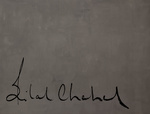 Enkele pagina spreads uit kunstboek gemaakt voor Bilal Chahal. Fotografie, vormgeving en concept ontwikkeling van mijn hand