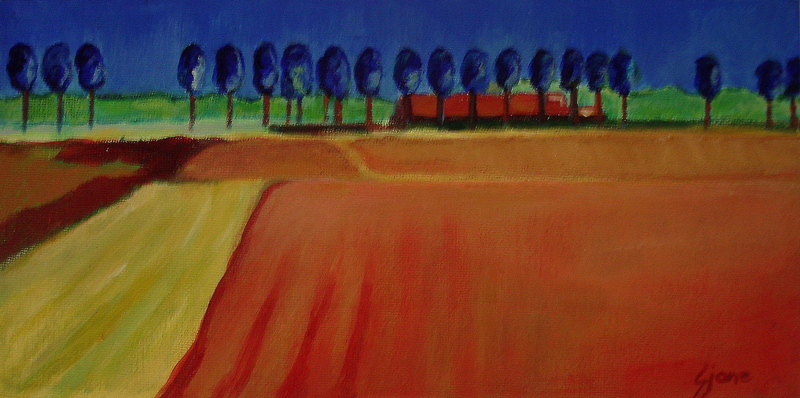 Nazomer in de Dordtse Biesbosch