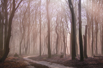 Landschappen