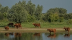 Mijn expositie met Thema Natuur