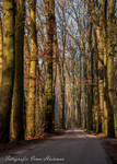 Heerlijk genieten van de Herfst en kijk om je heen en geniet.