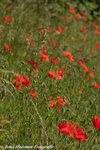 Flora en Fauna , puur natuur. Geniet en kijk om je heen, de natuur is zo mooi.