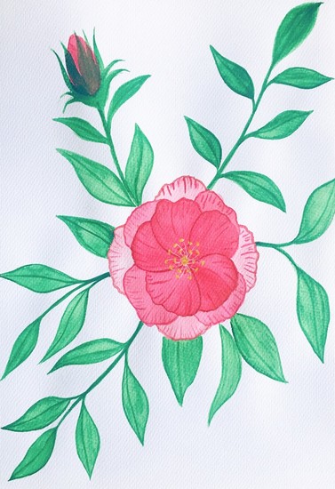 Aquarel Roos