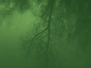 Groen is hot. In de natuur maar In je interieur ook. Dus waarom niet een bijpassende wanddecoratie erbij? Ik ben geïnspireerd geraakt door de kleur groen.Groen maakt de wereld mooier, laat het ademen.