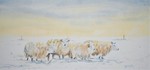 Oostenwind Sneeuw tien graden onder nul schapen gaan dicht tegen elkaar staan kom er bij staan blijf je warm van binnen dat is ze niet geleerd het gebeurd spontaan mensen laten mensen in de kou staan dat is ze niet geleerd het gebeurd spontaan kruip dicht tegen de schapen aan blijf je warm van binnen. Ben Fontein