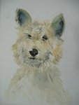aquarellen