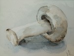 aquarellen 2017