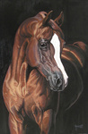 In deze groep vindt u schilderijen en tekeningen van het Arabische paard. Ook bij de groep Paarden en Illustraties staan nog enkele schilderijen en tekeningen van Arabische paarden.