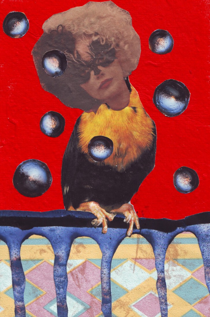 Outsiderart :Collage nr. 179; Melancholyc bird in my hallway