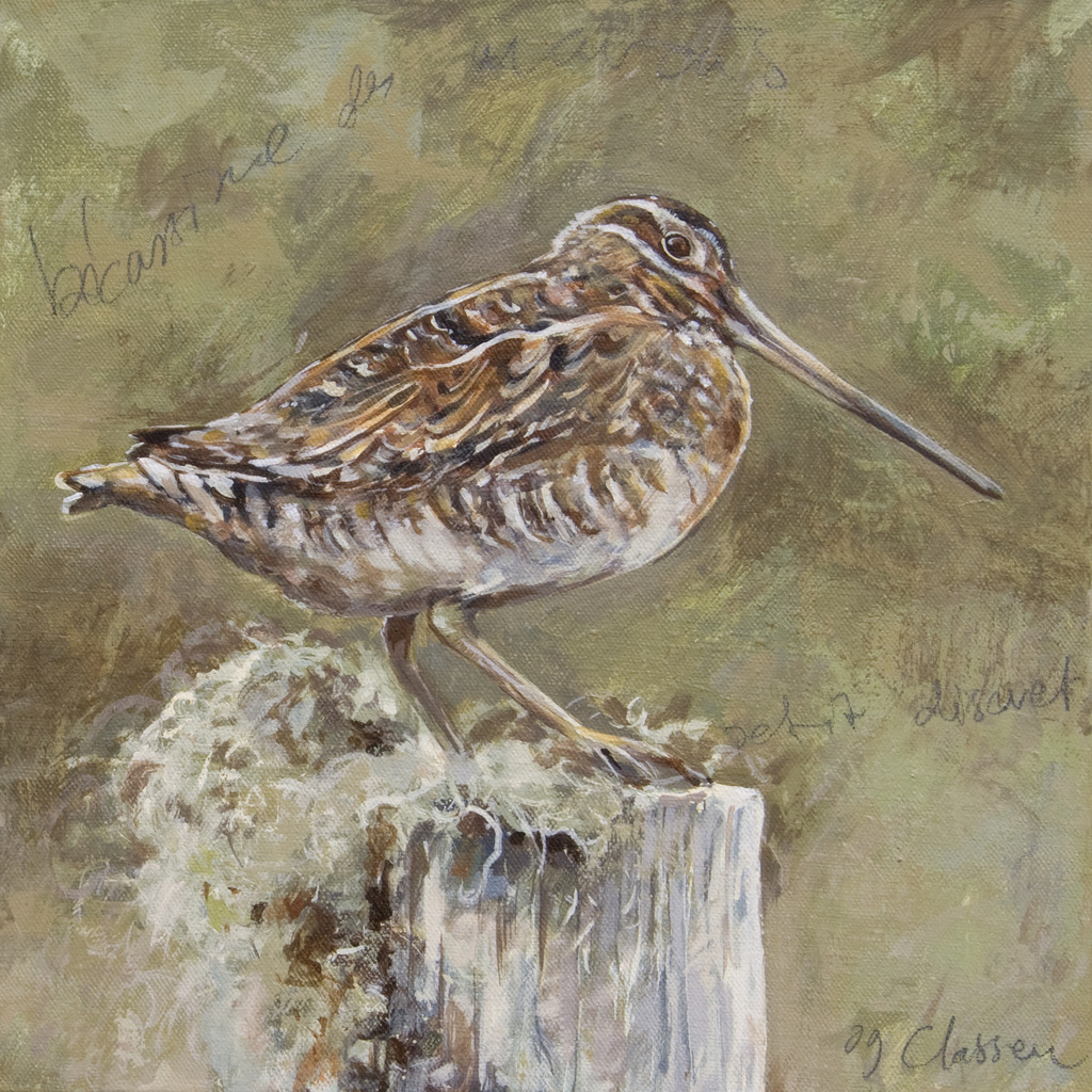 Prints / kaarten
