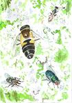 In 2013 volgde ik de natuur in het LIMOSPARKJE in Nijmegen-oost op de voet door aquarellen, pentekeningen en teksten. Dit is een boek geworden dat vanaf 16 mei te zien is in Galerie