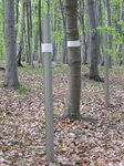 White elements / Trees & White elements. Weimar Buchenwald Concentration Camp / My Memorial for Weimar Buchenwald. Germany.