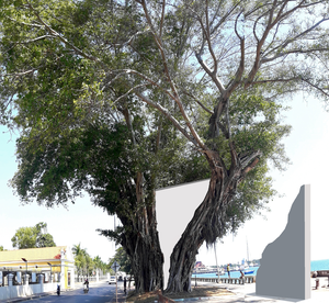 White Element Sketches.
The added white elements in the sketch should be executed in plaster of Paris (on the real trees), but looks like 3D cutting in paper (or erasing space).