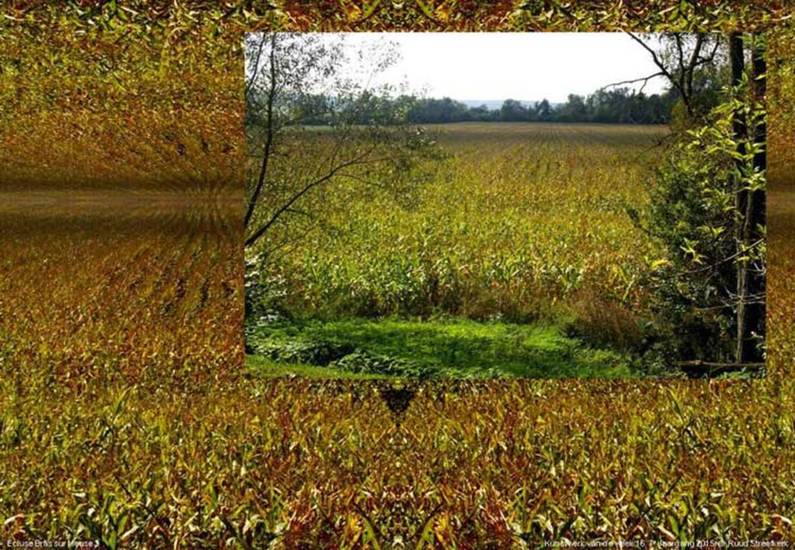 Ecluse Bras sur Meuse 2