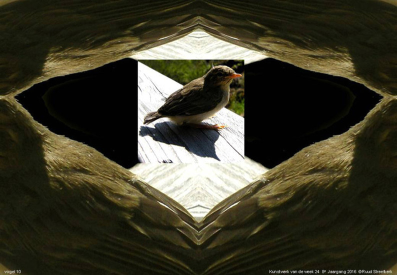 Vogel 10