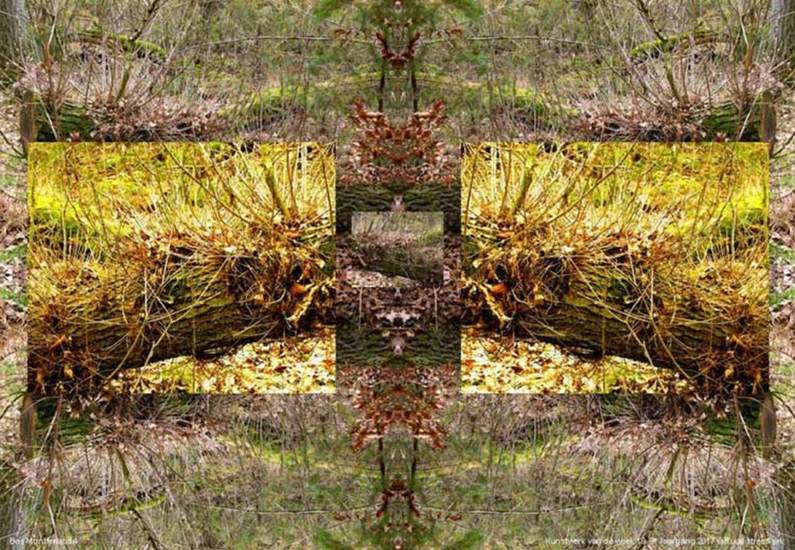 Bos Montferland 4