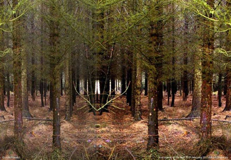 Erchite Woods 1