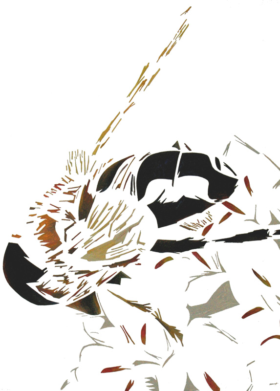 Hommel