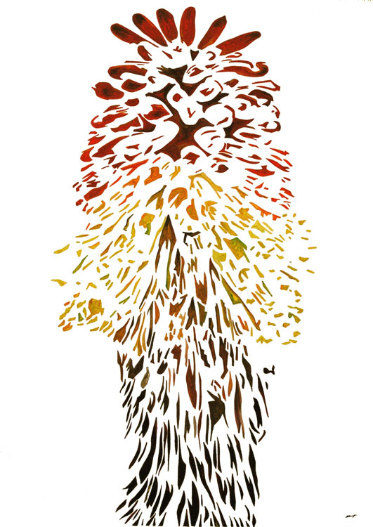 Kniphofia