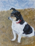 Een geschilderd portret van uw hond, kat, paard op doek of canvas in olieverf of acrylverf. Een dierenportret waarop uw huisdier goed uit de verf komt. Ieder dier is bijzonder en juist dat probeer ik vast te leggen.