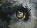 'Eye' is de thema van deze serie aquarellen.