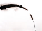 A meditation on the use of black.