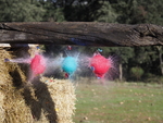 All kinds of experimental pictures