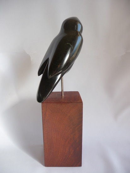 Vogel: Black Bird