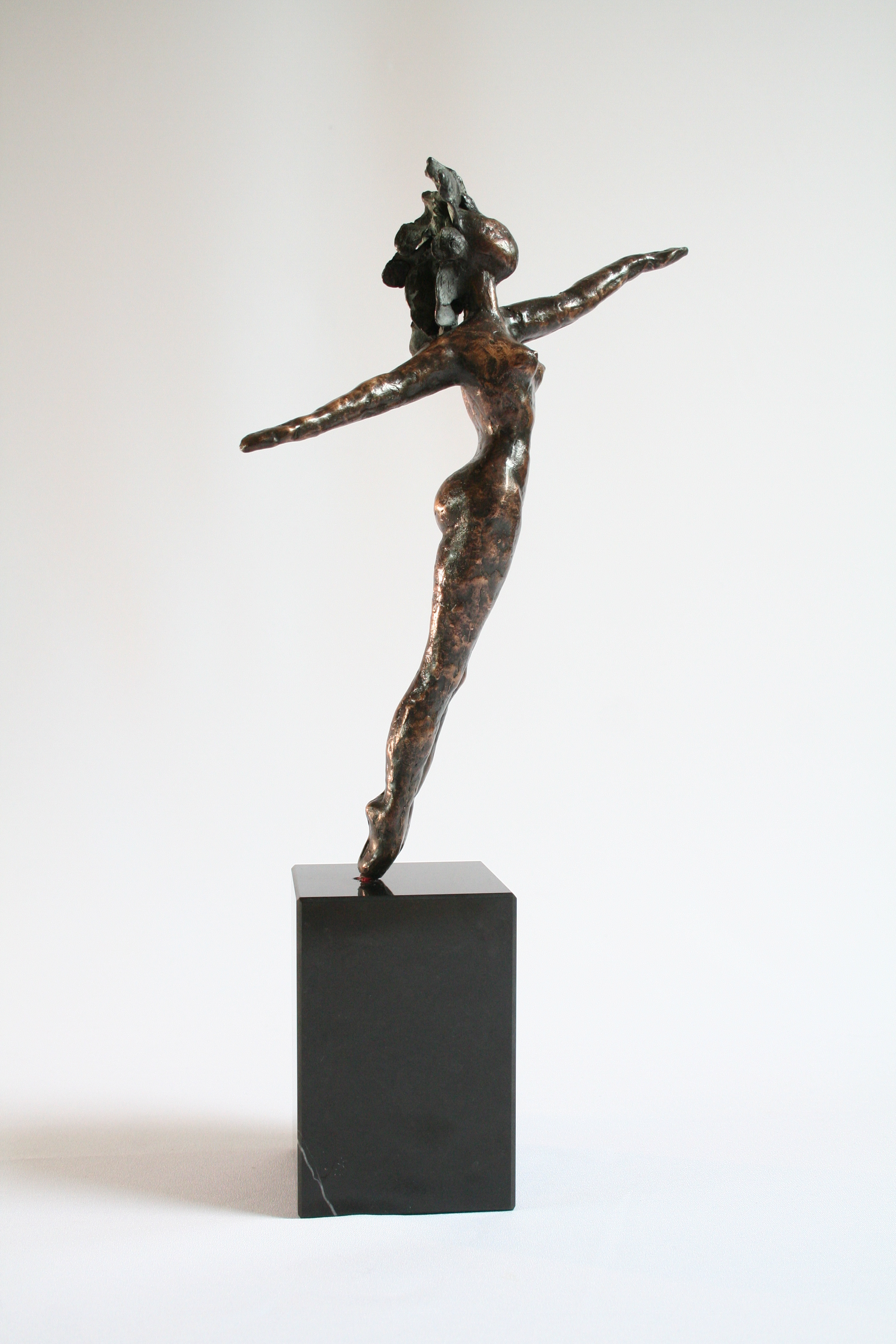 Brons:Vrouw Vrijheid maart 2009