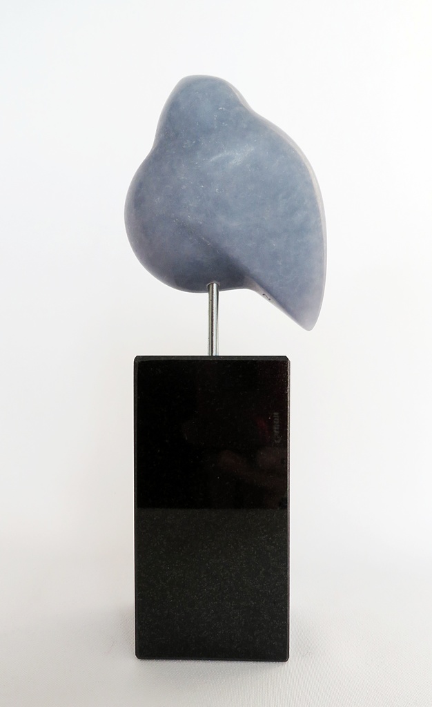Vogel klein blauw