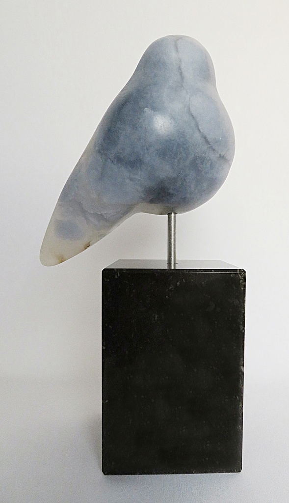 Vogel blauw groot