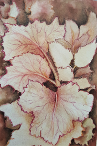 Eco-print is een ecologisch printproces waarbij de kleurpigmenten van bladeren, bloemen of andere delen van planten door middel van stoom een afbeelding achterlaten. Wanneer de print niet geheel naar wens is, ga ik de print verrijken en of veranderen met bister en of kleurpotlood tot het gewenste resultaat is bereikt.