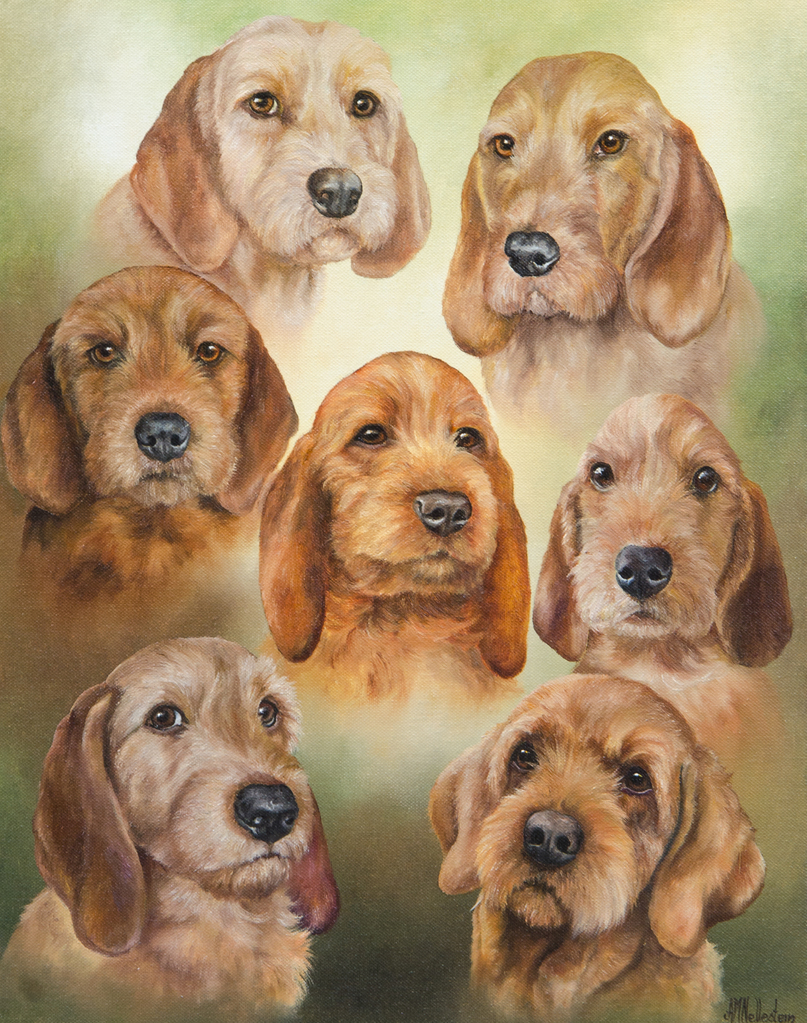 The Sweet Seven