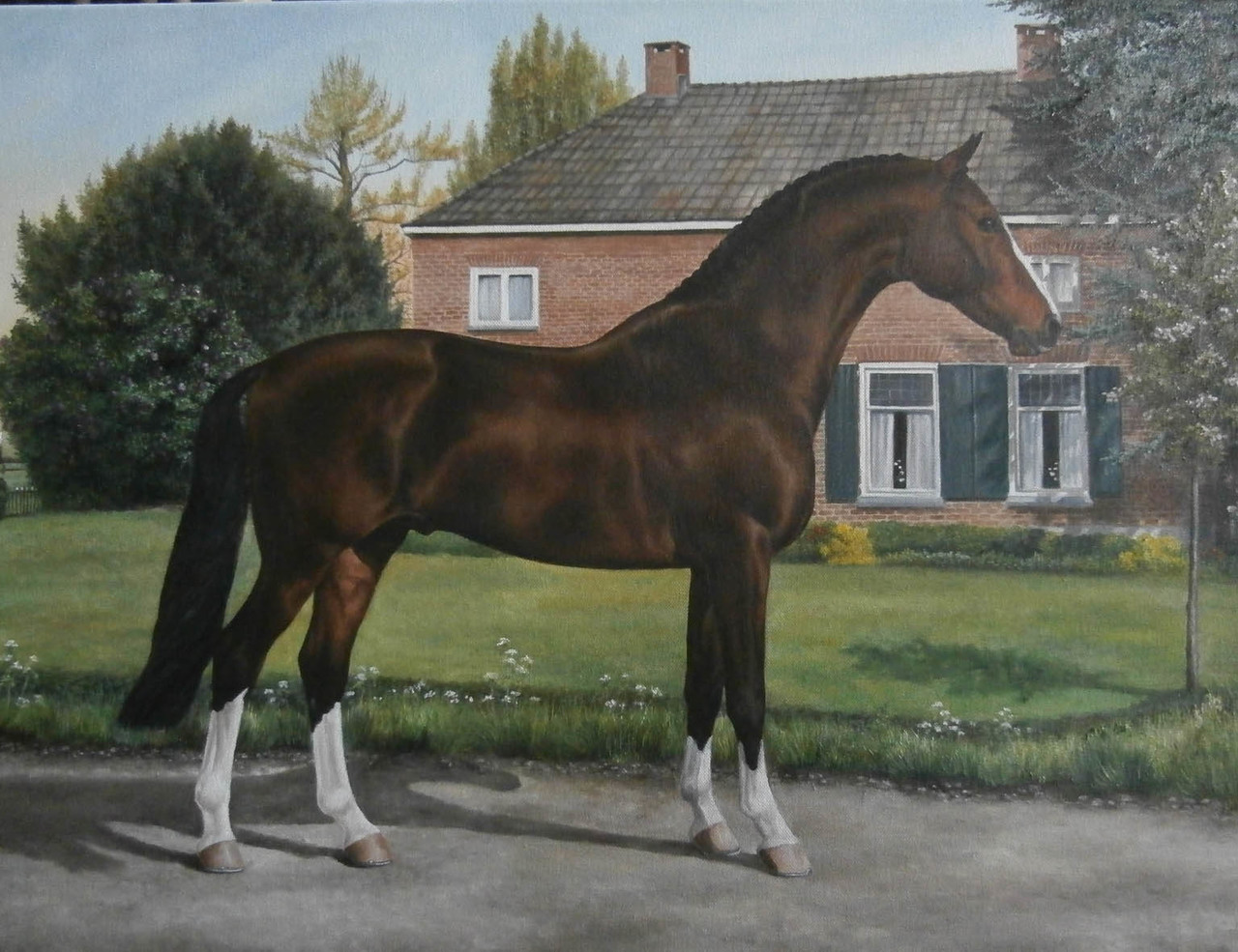 Wilskracht