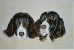 enkele dierenportretten gemaakt met pastel.