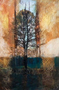 De foto’s die in deze groep te zien zijn hebben een metamorfose ondergaan door eroverheen te tekenen, te krassen of te schilderen. Kleine gedeeltes van de originele foto’s zijn vaak nog terug te zien.