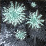ondermeer , schilderijen op verschillende wiijzes , olieverf op doek,met glas- acrylverf op doek, met glas- tussen en op glas in aluminium frame