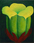 bloemen en planten
