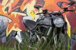 Motorshoot Berenkuil