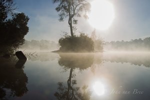 Stukje natuur in Oisterwijk