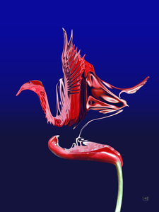 Schilderijen gemaakt met Corel digital painter met behulp van Cintiq 21UX van Wacom.