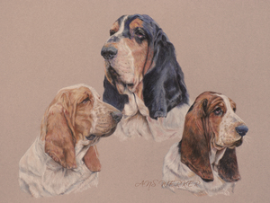 portretten van mens en dier in grafiet potlood, pastelkrijt, olieverf, grafietpotlood en wol