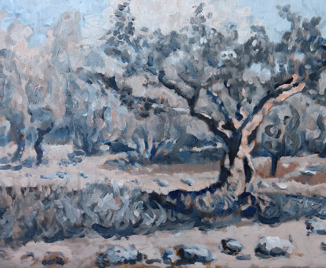 Olijfboom(kreta)